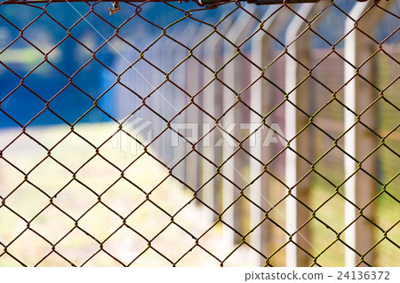 fence rabitz 24136372