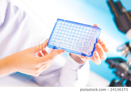 Young woman work with 96 well plate 24136373