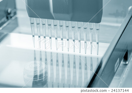 load DNA sample in electrophoresis device 24137144