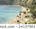 Hawaiian seaside wide angle 24137903