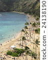 Hawaiian coast 24138190