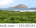 Hawaii 24138191
