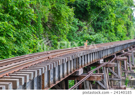 Dog on the Death Railway bridge at Krasae Cave 24140185