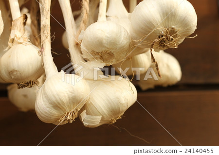 大蒜，在菜園裡種的大蒜，掛在屋簷下曬乾 24140455