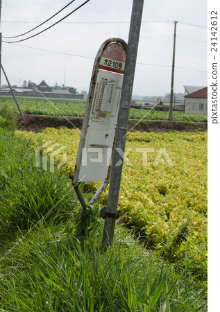 Country bus stop Country bus stop 24142612