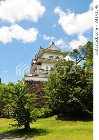 Iga Ueno Castle 24143346