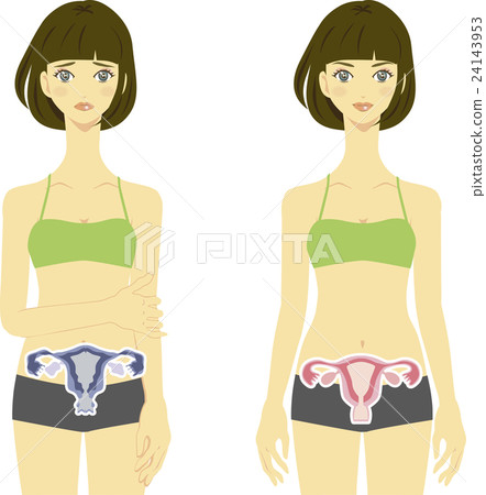 Female uterus image 1 24143953