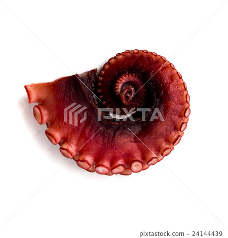 A part of red octopus prepared for meal  24144439