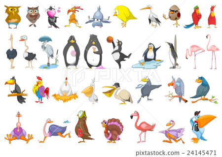 Vector set of various birds illustrations. 24145471