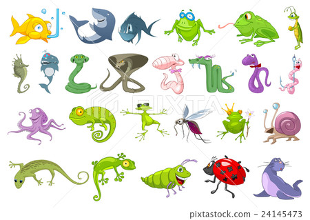Vector set of animals illustrations. 24145473