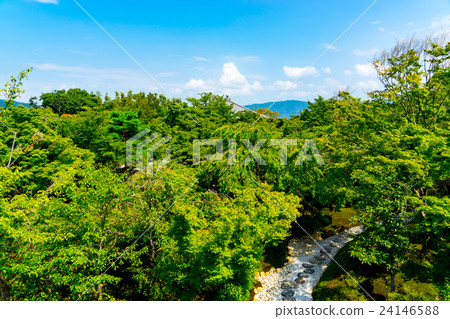 [Kyoto] Garden of Shogun Tsuka Seiryu 24146588