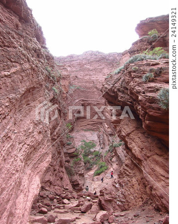 Argentina, the Devil's Throat of the Cafayate Valley 24149321