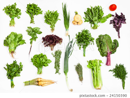 various bunches of fresh kitchen herbs 24150390