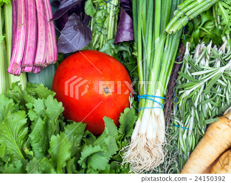 bunches of fresh cut greenery and red tomato 24150392