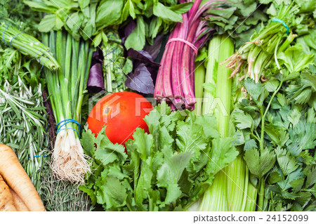 bunches of fresh cut greenery 24152099