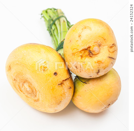 bunch of fresh cut turnip roots bunch of fresh cut turnip roots 24152324