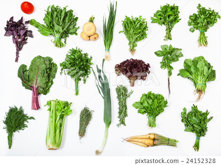 various bunches of fresh culinary grasses various bunches of fresh culinary grasses 24152328