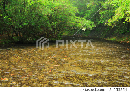 Oita prefecture green summer mountainous valley where you can shine and clear streams flowing through monolithic bedrock 24153254