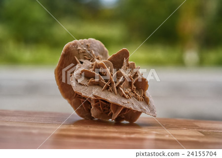 Stone desert rose 24155704