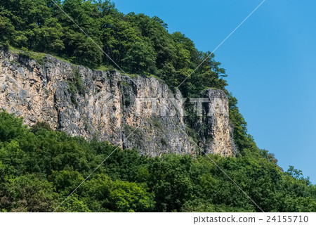 Mountain landscape with snow and forest Mountain landscape with snow and forest 24155710