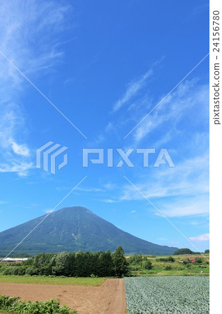 在北海道的夏天山羊蹄 照片素材 圖片 圖庫