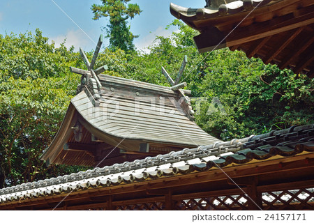 我的數字場:Katayanagi Kumano Shrine 我的數字場:Katayanagi Kumano Shrine 24157171