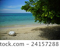 海 24157288