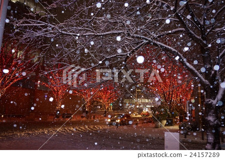 snow          24157289