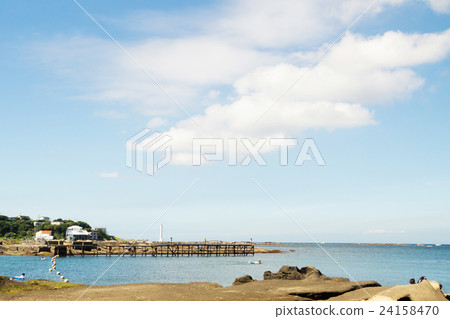 三浦半島的Araihama海岸 24158470
