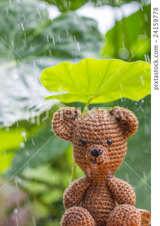 Single bear doll in the rain Single bear doll in the rain 24159778