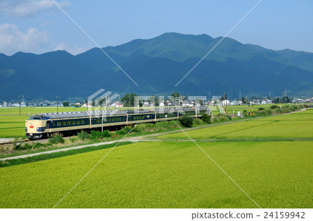 583系統臨時高速Aizusa運行中夏餃子,在Adachi-tama上種植水稻 583系統臨時高速Aizusa運行中夏餃子,在Adachi-tama上種植水稻 24159942