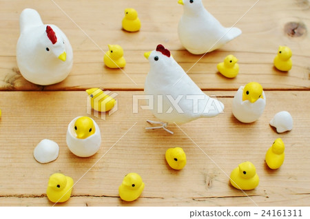 Chickens and chicks with eggs Chickens and chicks with eggs 24161311