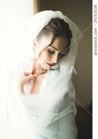 Beautiful young bride with makeup and hairstyle in Beautiful young bride with makeup and hairstyle in 24163036
