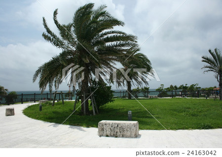 沖繩宜野灣海濱公園 沖繩宜野灣海濱公園 24163042