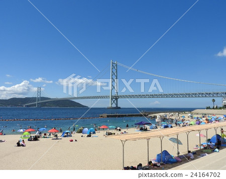 從Maiko海岸“明石海峽大橋”看到的世界上最大的吊橋:Maiko海灘與沐浴客人一起熙熙攘攘 從Maiko海岸“明石海峽大橋”看到的世界上最大的吊橋:Maiko海灘與沐浴客人一起熙熙攘攘 24164702