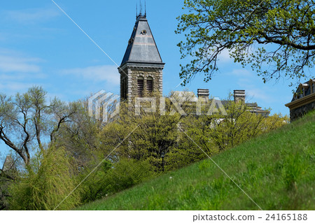 Cornell University Cornell University 24165188