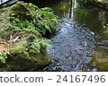 Pond and moss stone 24167496