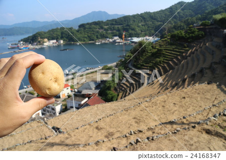 Mizogura的土豆領域和土豆 24168347