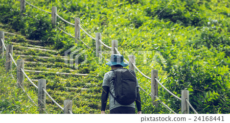 Outdoor image Outdoor image 24168441