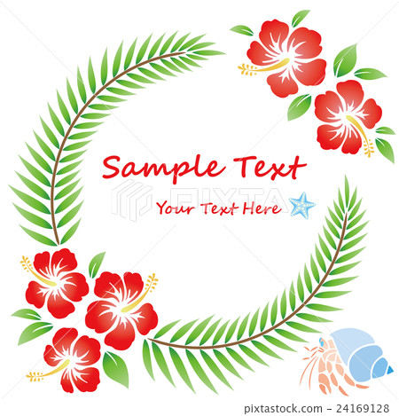 hibiscus, flower, flowers 24169128