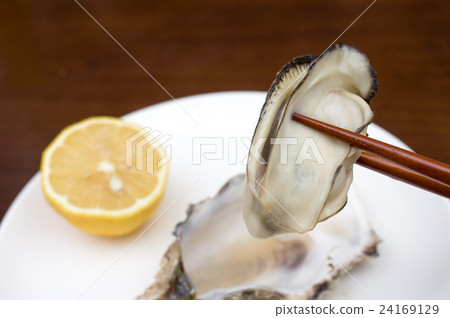 Oyster grasping cooked oysters placed on a white dish with chopsticks 24169129