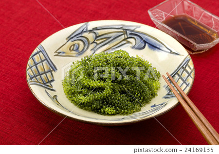 海洋葡萄 海洋葡萄 24169135