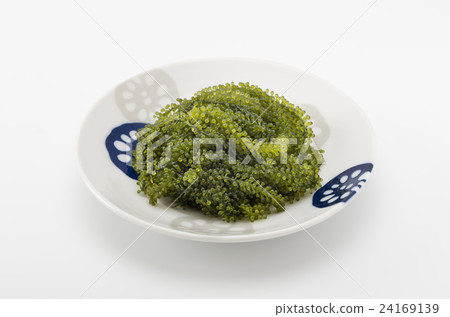 Sea grapes Sea grapes 24169139