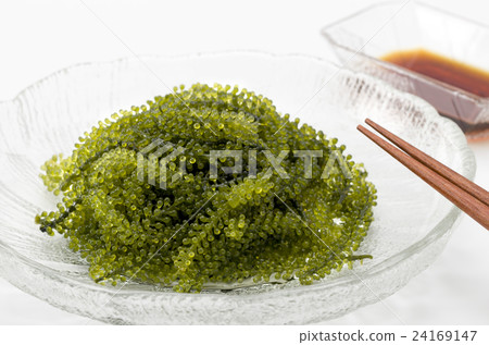    Sea grapes 24169147