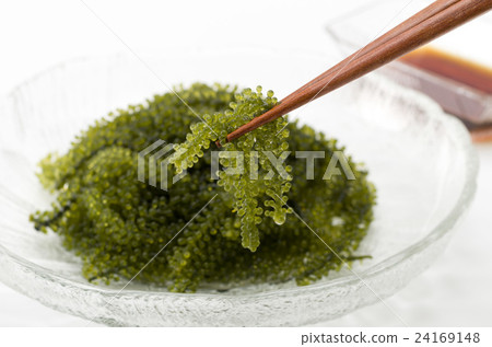    Sea grapes 24169148