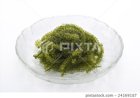 Sea grapes Sea grapes 24169187