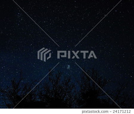 The stars in the night sky. 24171212