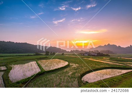 清晨Tamimuso 24172086