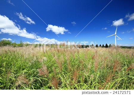 Susuki和Koriyama首演的Windfarm 24172571