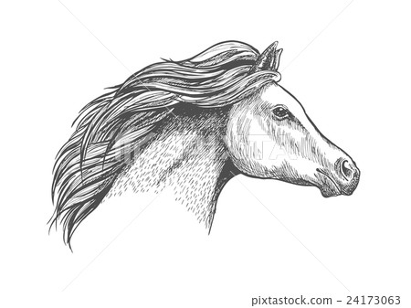 Racehorse mare head for horse racing design 24173063